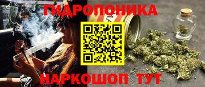 трава Будённовск